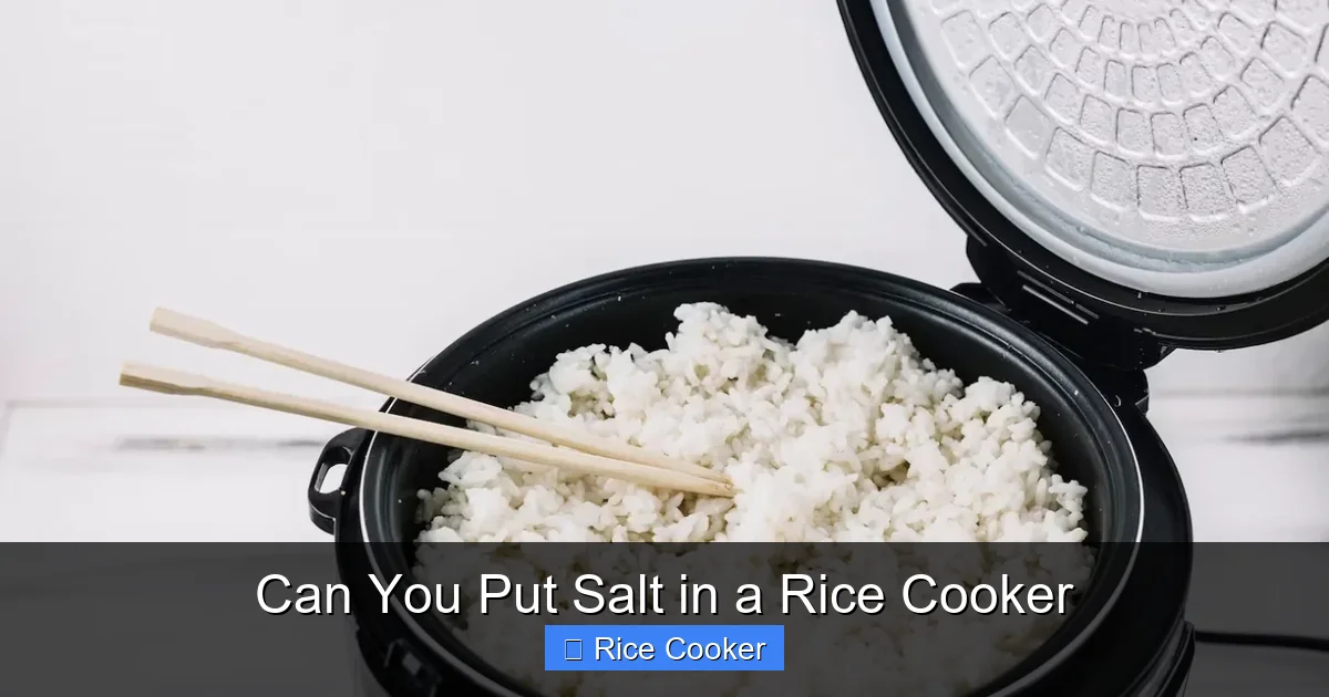 Can You Put Salt in a Rice Cooker