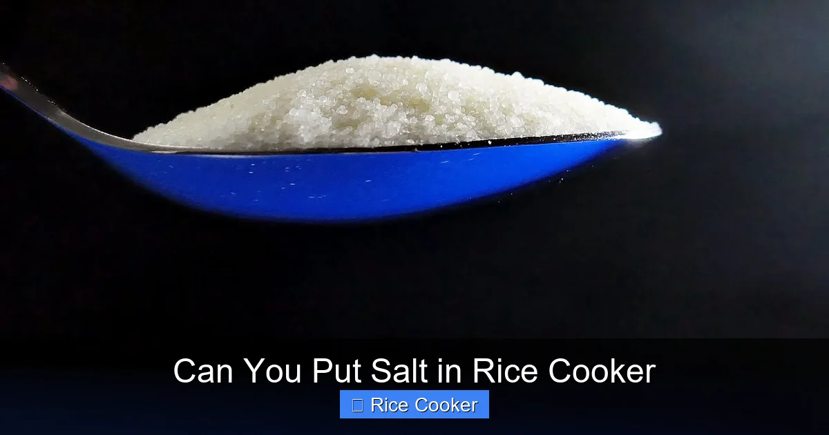 Can You Put Salt in Rice Cooker