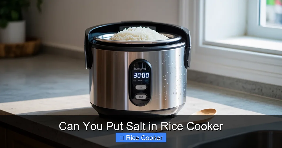 Can You Put Salt in Rice Cooker