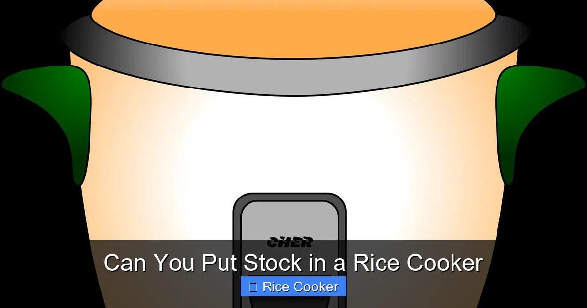 Can You Put Stock in a Rice Cooker