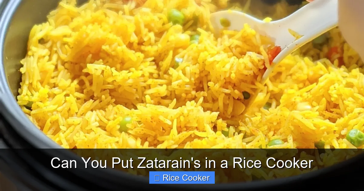 Can You Put Zatarain's in a Rice Cooker