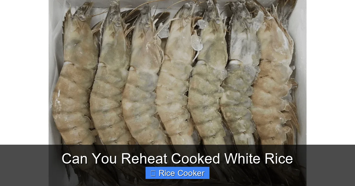 Can You Reheat Cooked White Rice