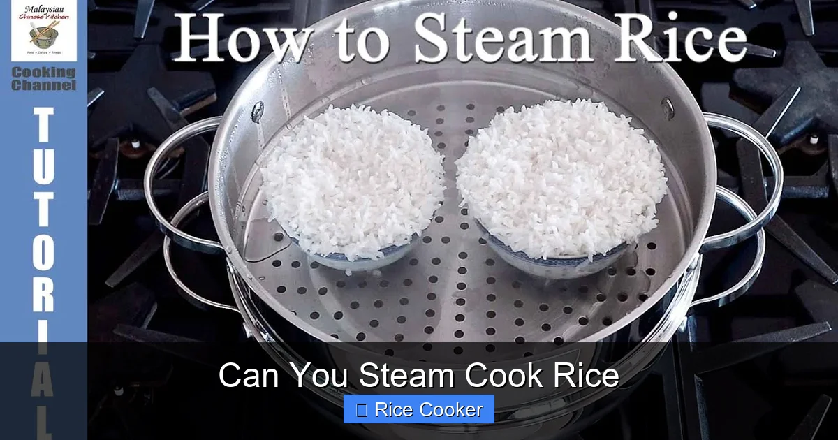 Can You Steam Cook Rice
