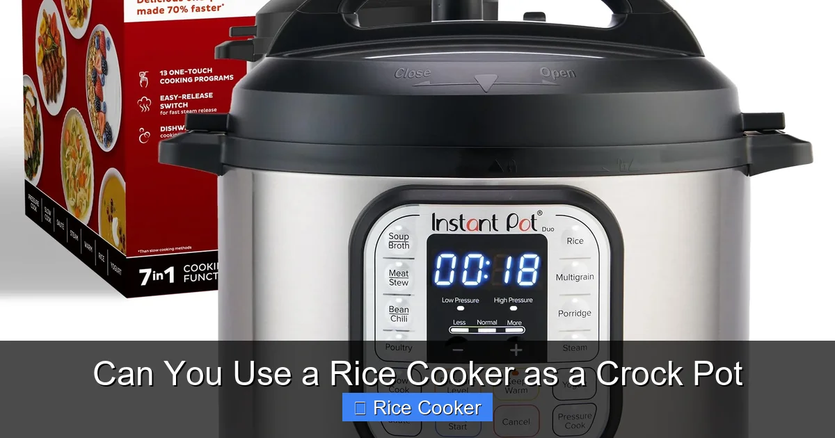 Can You Use a Rice Cooker as a Crock Pot