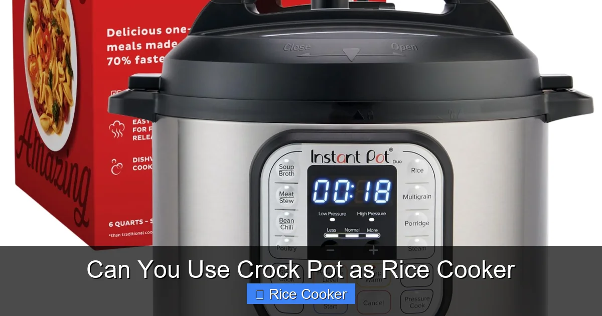Can You Use Crock Pot as Rice Cooker