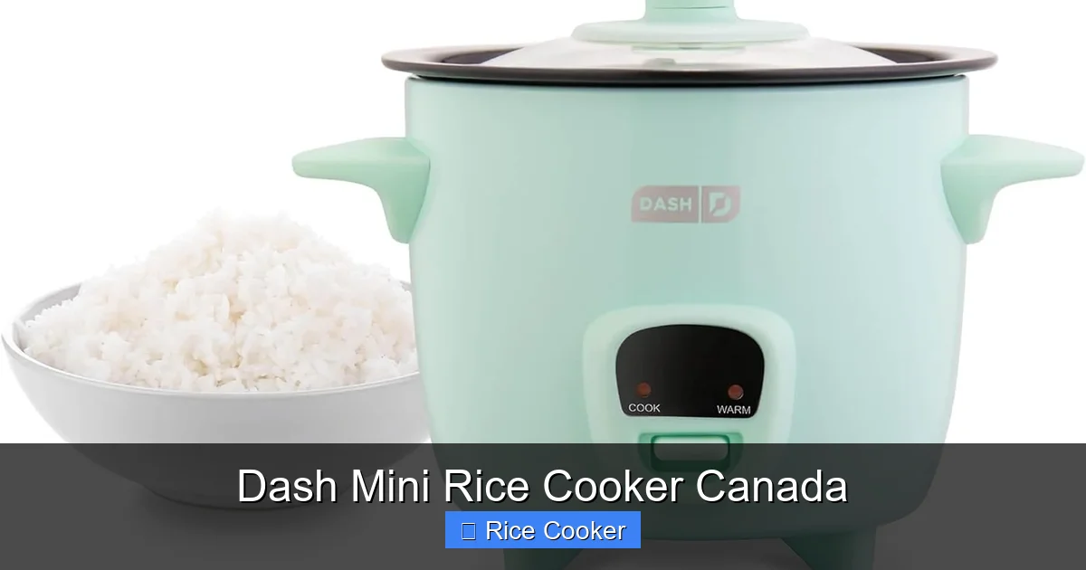 Dash Mini Rice Cooker Canada