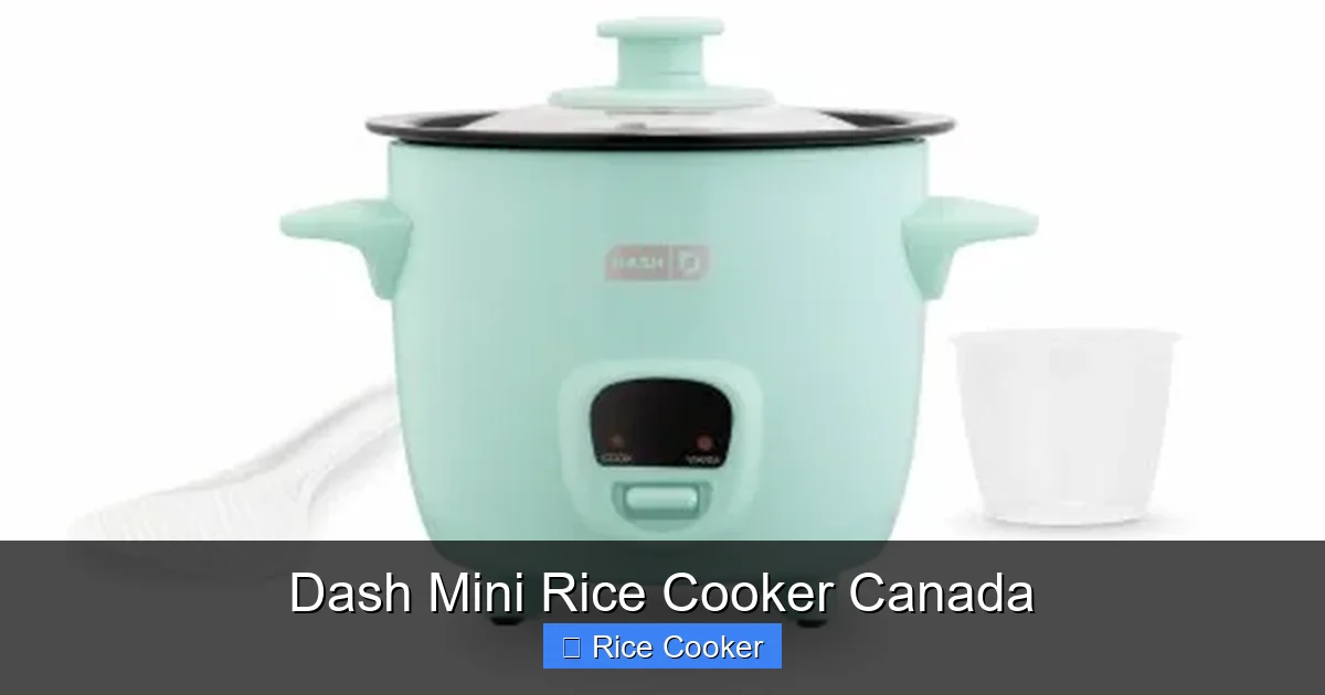 Dash Mini Rice Cooker Canada