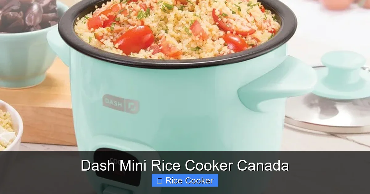 Dash Mini Rice Cooker Canada