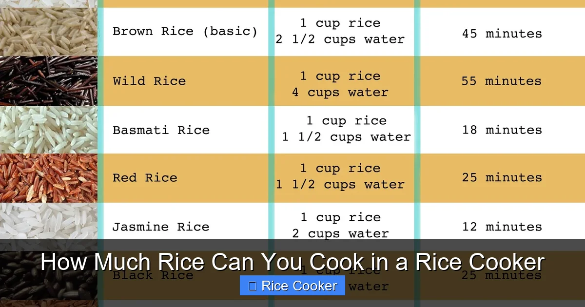 How Much Rice Can You Cook in a Rice Cooker
