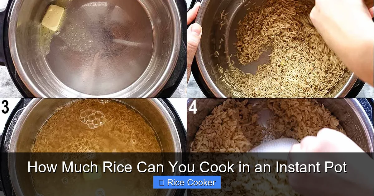 How Much Rice Can You Cook in an Instant Pot