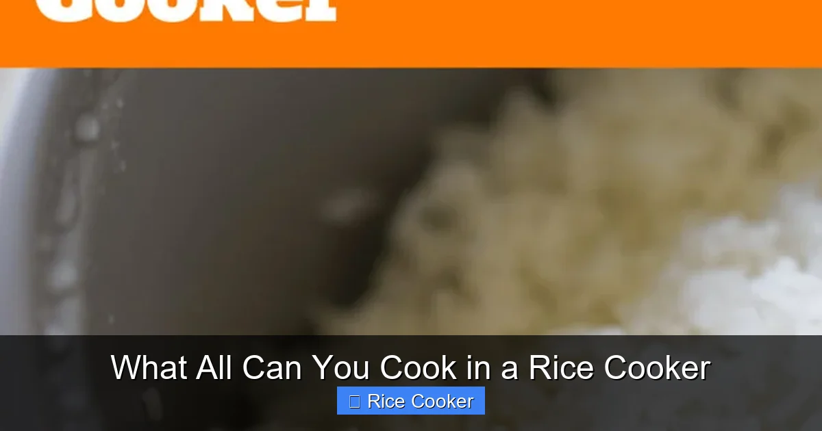 What All Can You Cook in a Rice Cooker