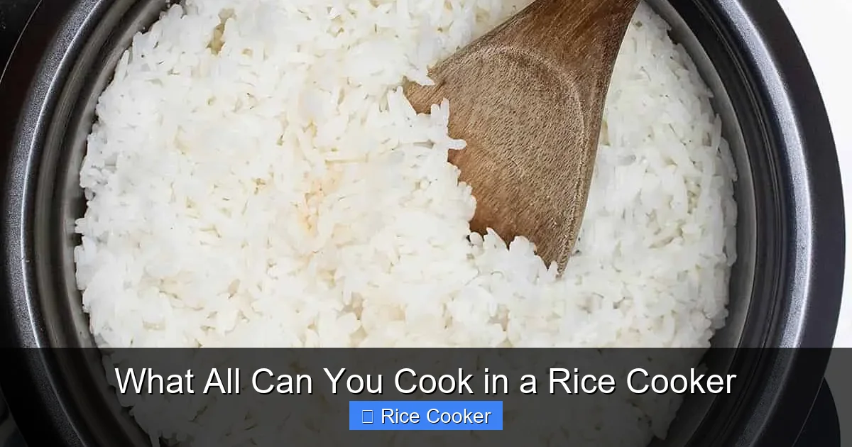 What All Can You Cook in a Rice Cooker