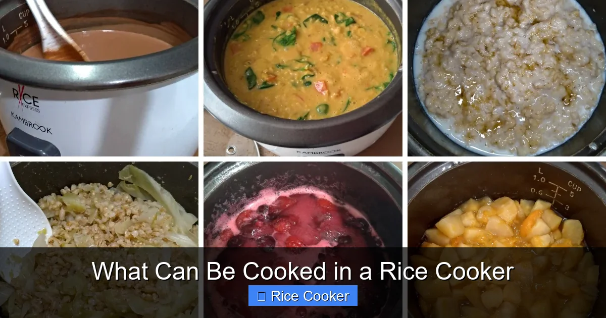 What Can Be Cooked in a Rice Cooker