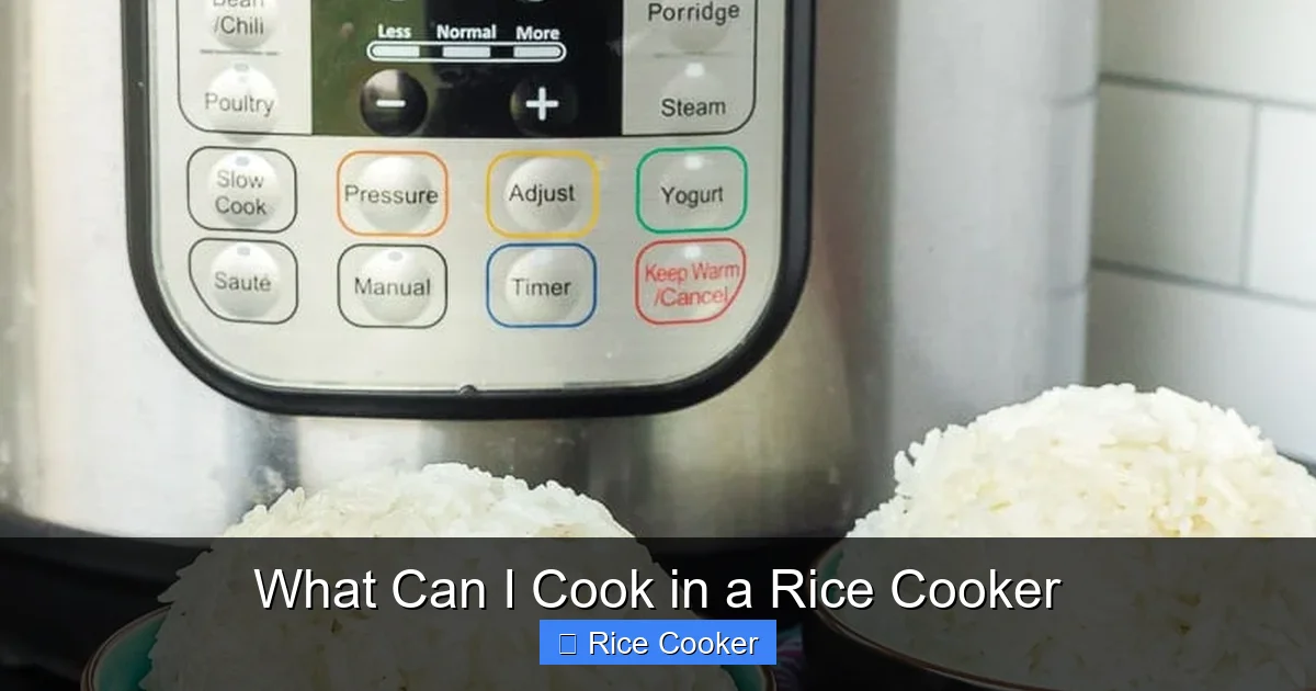 What Can I Cook in a Rice Cooker
