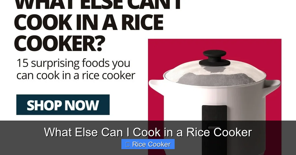 What Else Can I Cook in a Rice Cooker