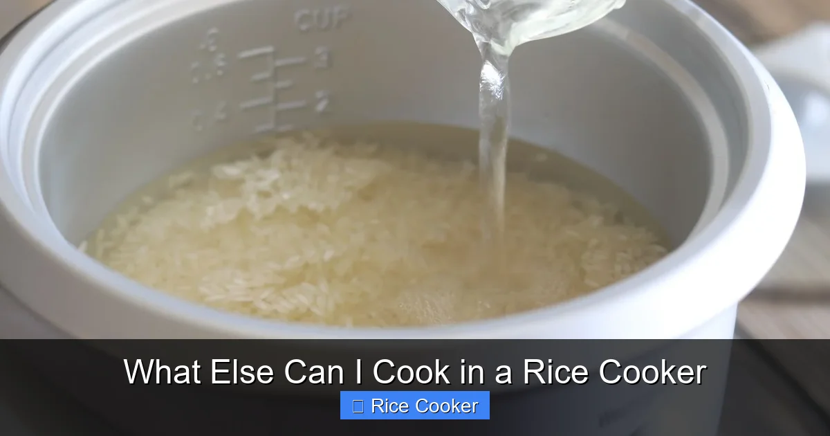 What Else Can I Cook in a Rice Cooker